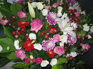photo1