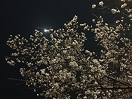photo1
